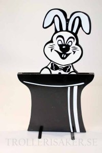 Ingen bild har valts 